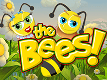 The Bees – азартная онлайн игра на сайте в интернете